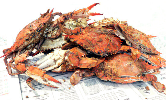 All You Can Eat Crab Daytona Beach